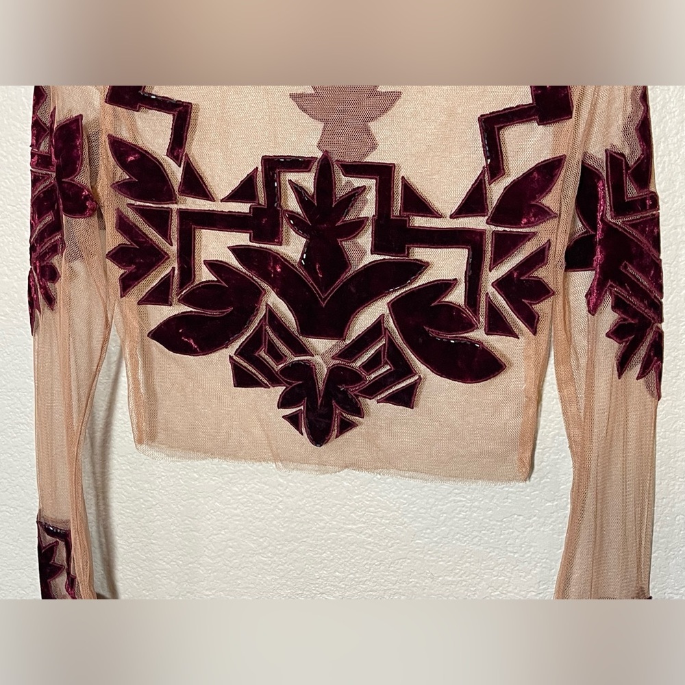 For love and lemons Elegant Sheer Top with Velvet Accents size small - Picture 5 of 11